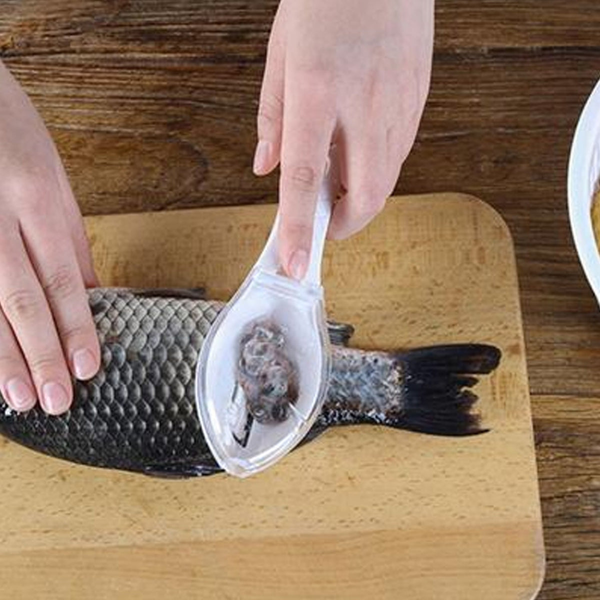 A Fish Scale Scraper with an ergonomic handle for comfortable grip.