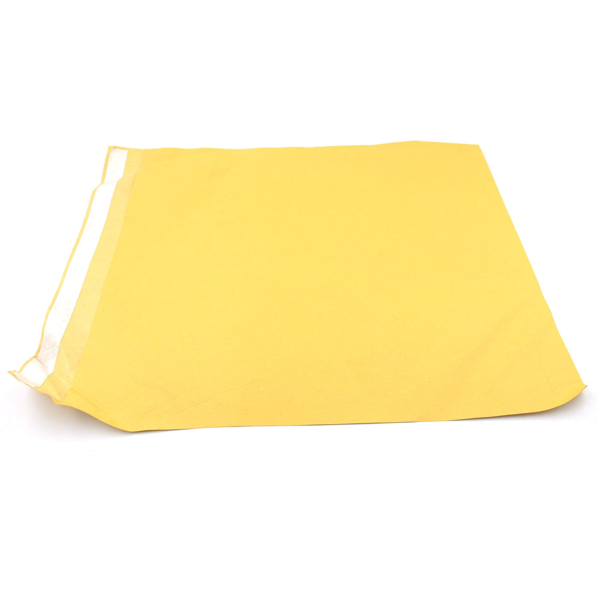A single large, flat brown kraft envelope with its self-seal strip visible on a white background.
