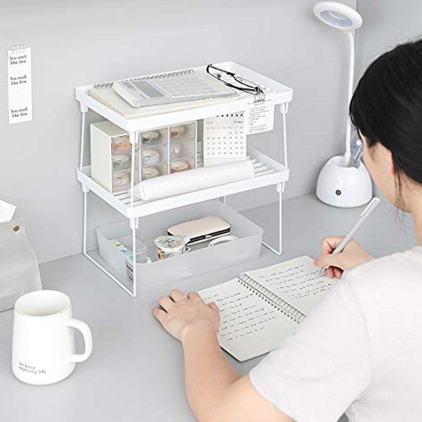 Space-Saving Plastic Organizer Storage Rack – Rust-Proof