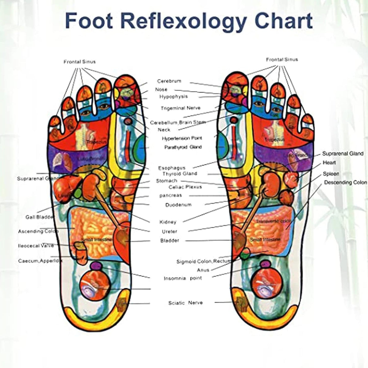 Detox Foot Pads with Ginger & Salt – 10 Pcs