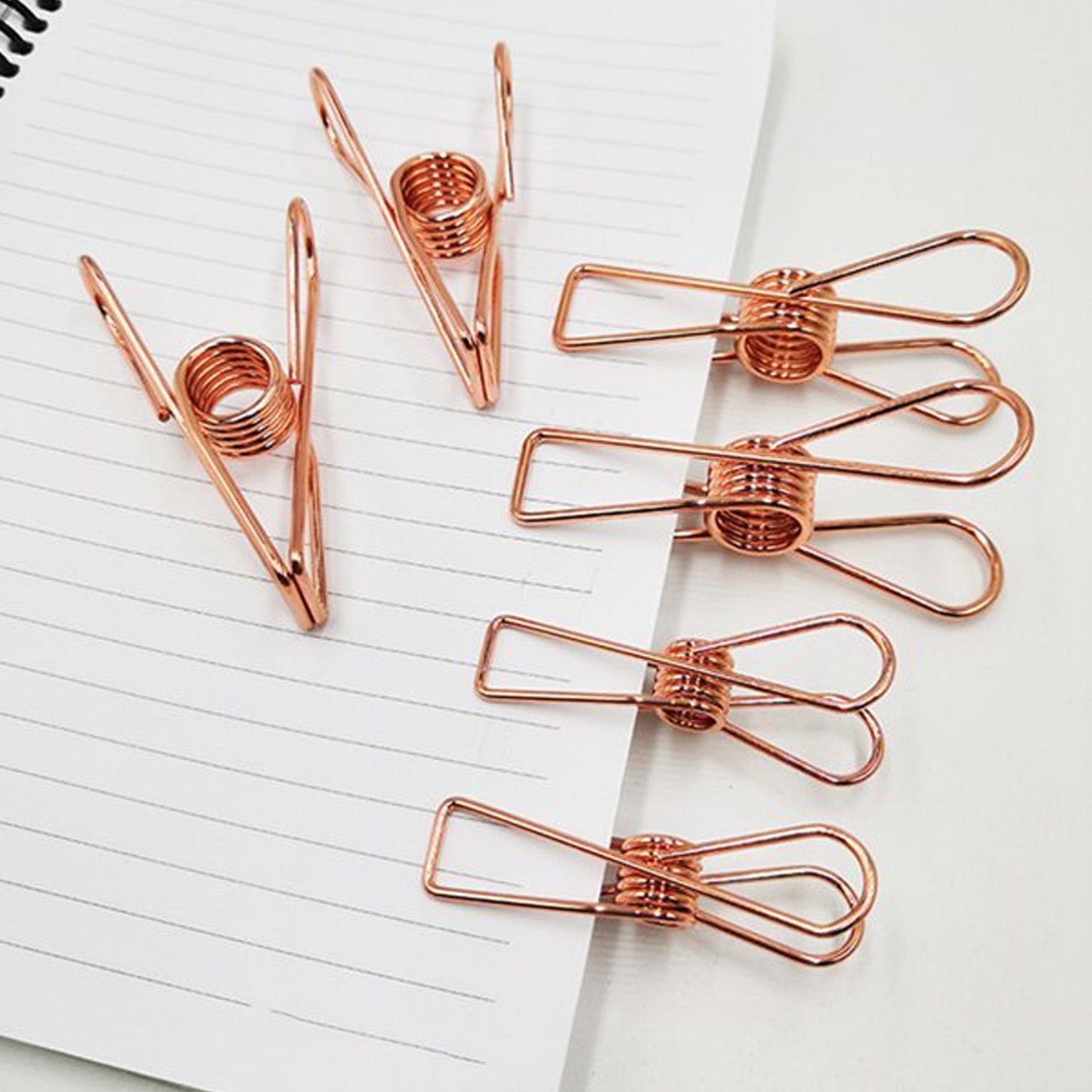 All-in-One Stainless Steel Clothes Clips – Sturdy
