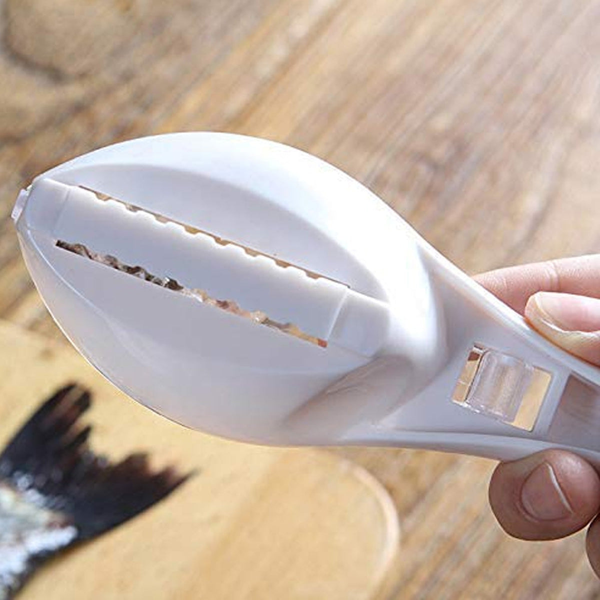 The Fish Scale Scraper displayed on a clean surface.