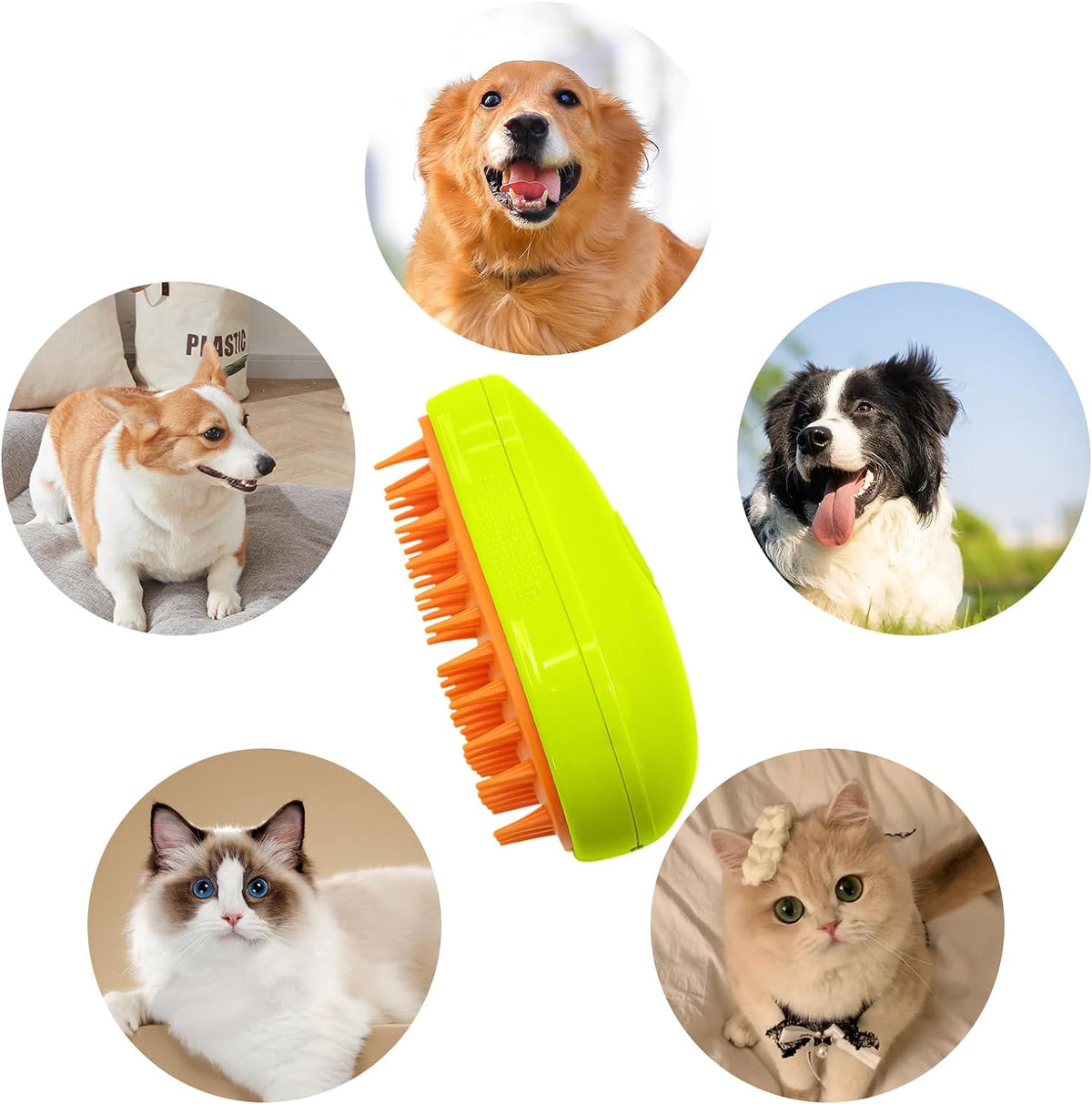 A lime green and orange pet brush is surrounded by images of a Golden Retriever, Border Collie, Corgi, Ragdoll cat, and a