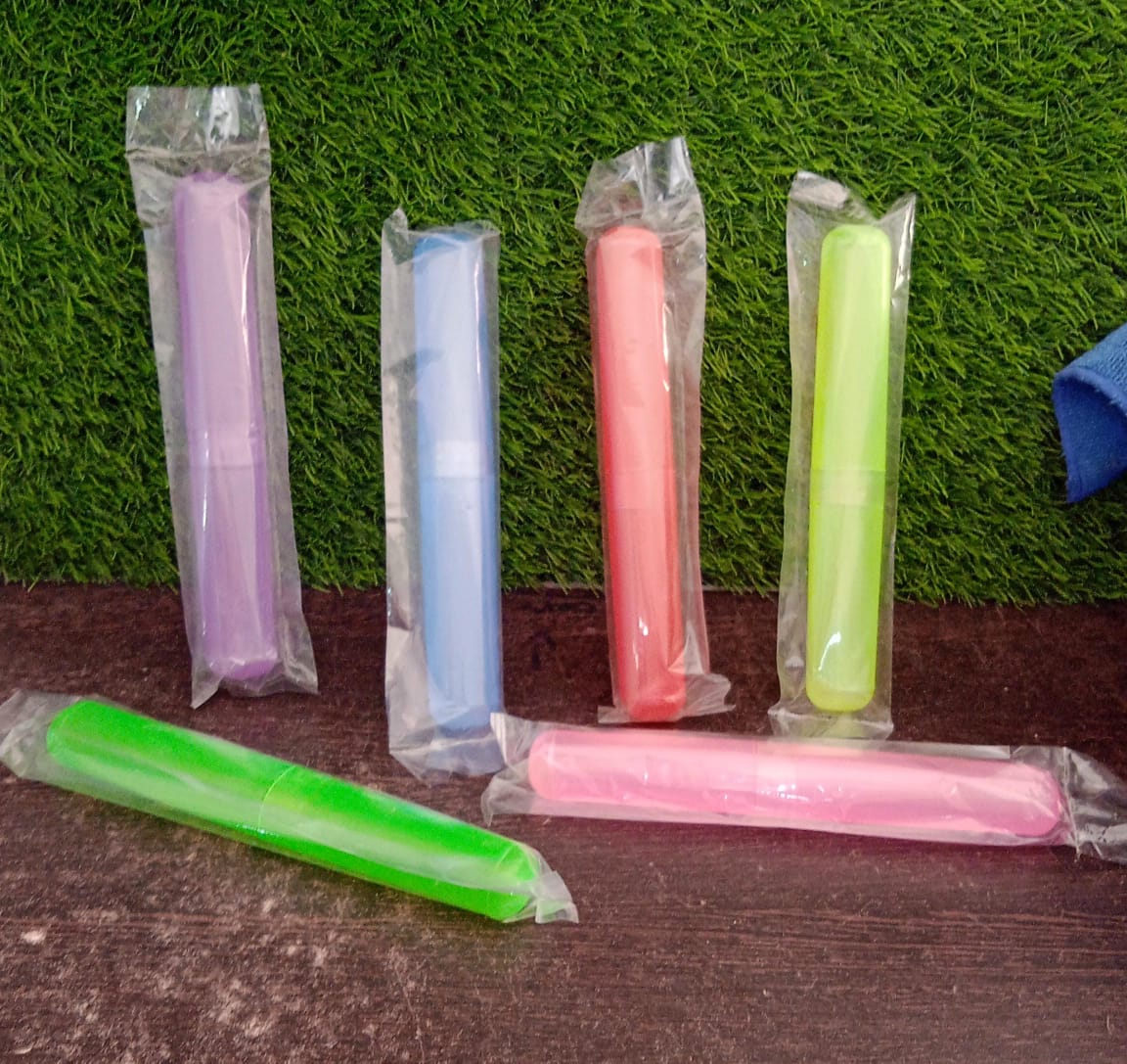 Toothbrush Travel Case – Hygienic Plastic Holder | BrushedUp