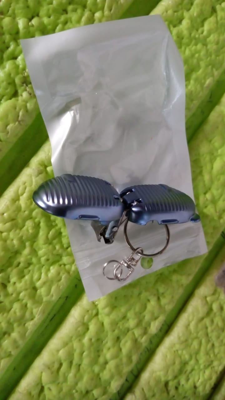 Keychain Nail Clipper – Portable with Built-in File | AuriGlam