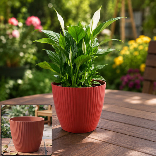 Plastic Flower Pots – Durable Round Planters for Home & Garden