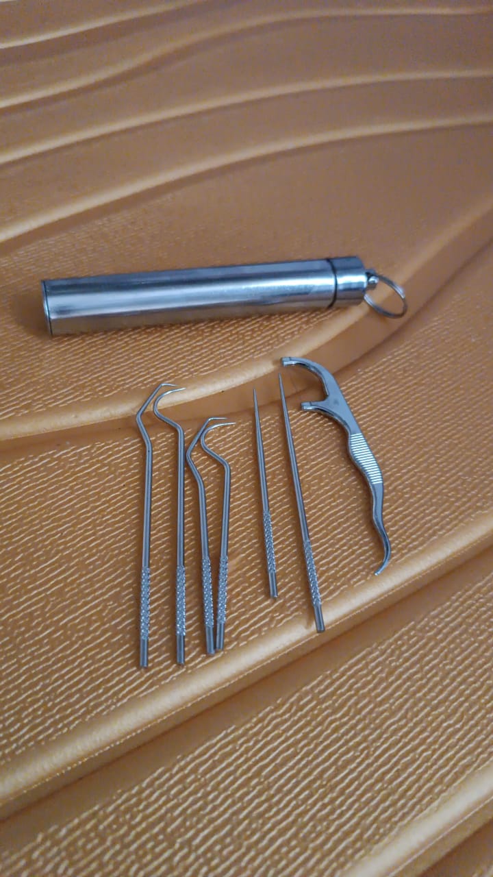 Stainless Steel Toothpick Set – 7-in-1 Portable Dental Kit | AuriGlam