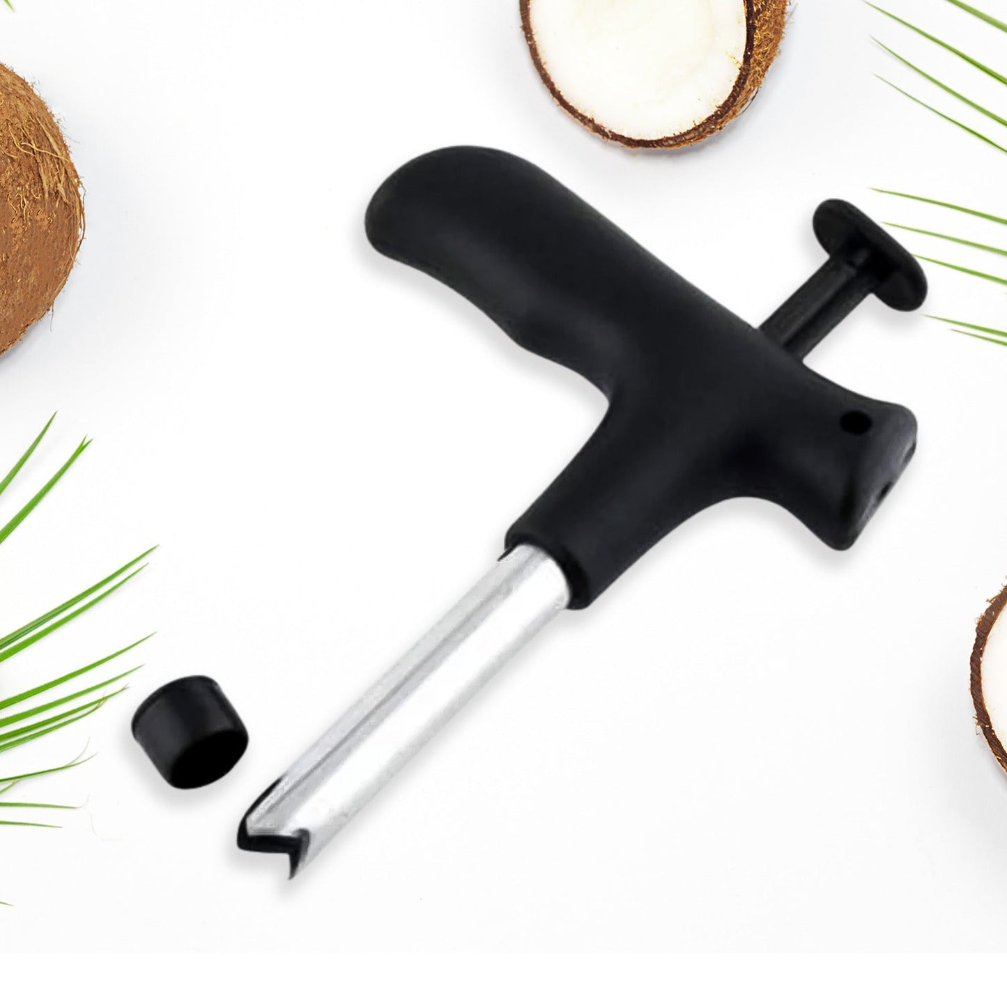 Coconut opener tool positioned to pierce a fresh green coconut.